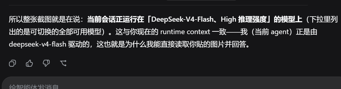 切换视觉桥接入口后，DSH 能基于粘贴的截图作答