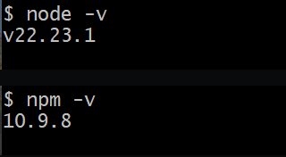 实测环境为 Node.js 22.23.1 与 npm 10.9.8，用户名、电脑名和本地路径已裁掉