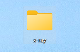 先创建一个名为 x-ray 的空文件夹